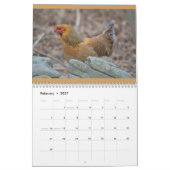 Calendrier de poulet (Feb 2027)