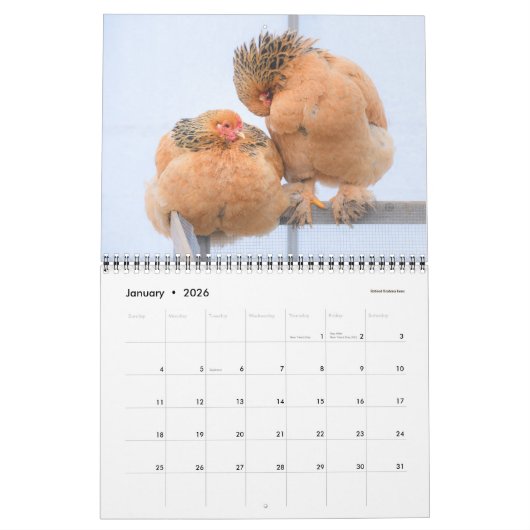 Calendrier de poulet (Jan 2026)