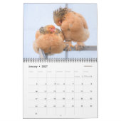 Calendrier de poulet - milieu (Jan 2027)