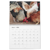 Calendrier de poulets et de coqs (Mar 2026)