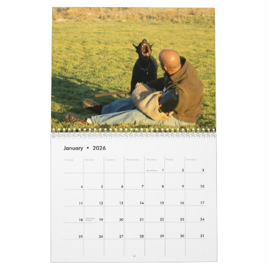 Calendrier de protection de dobermann (Jan 2026)