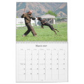 Calendrier de protection de dobermann (Mar 2027)