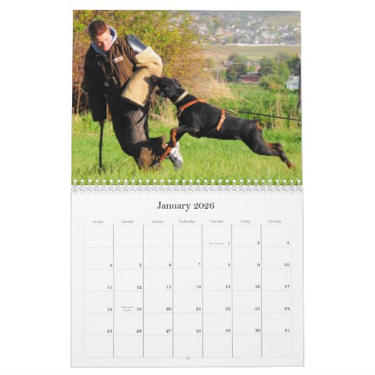 Calendrier de protection de dobermann (Jan 2026)