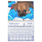 Calendrier de Puggle (Feb 2026)