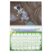 Calendrier de Puggle (Mar 2027)