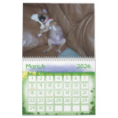 Calendrier de Puggle (Mar 2026)