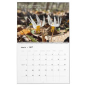 Calendrier de randonnée en forêt 2026 (Mar 2027)