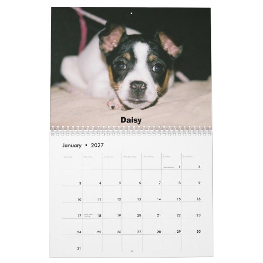 Calendrier de Rat terrier (Jan 2027)