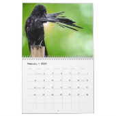 Calendrier de Raven de 2018 corneilles (Feb 2026)