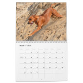 Calendrier de Rhodesian Ridgeback (Mar 2026)