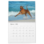 Calendrier de Rhodesian Ridgeback (Feb 2026)
