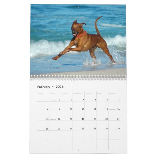 Calendrier de Rhodesian Ridgeback (Feb 2026)