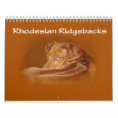 Calendrier de Rhodesian Ridgeback (Protection)