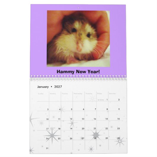 Calendrier de Roborovski 2011 (Jan 2027)