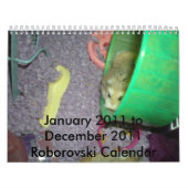 Calendrier de Roborovski 2011 (Protection)