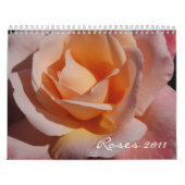 Calendrier de roses (Protection)