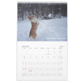 Calendrier de sagesse de corgi (Jan 2026)