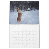 Calendrier de sagesse de corgi (Jan 2026)