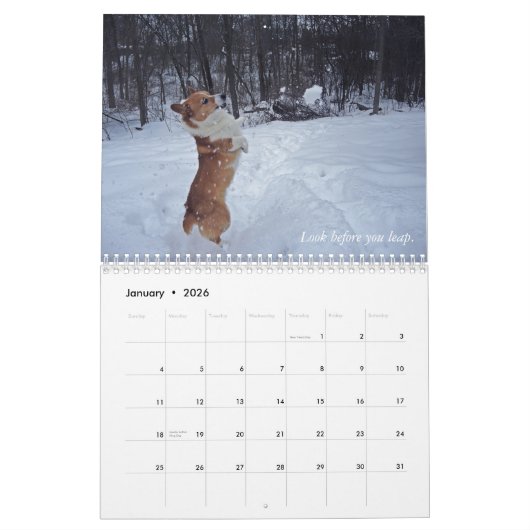 Calendrier de sagesse de corgi (Jan 2026)