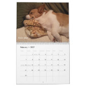 Calendrier de sagesse de corgi (Feb 2027)