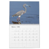 Calendrier de scènes de la Floride (Feb 2026)