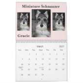 Calendrier de Schnauzer miniature (Mar 2027)