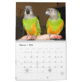 Calendrier de Senegals 2009 - customisé (Feb 2026)