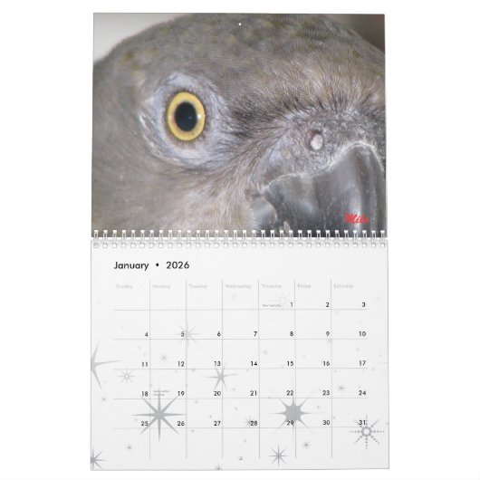 Calendrier de Senegals 2009 - customisé (Jan 2026)