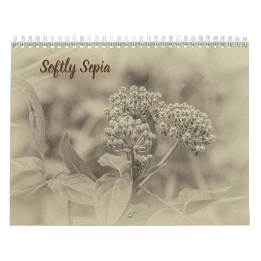 Calendrier de Sepia (Protection)
