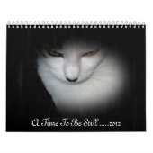 Calendrier de Shakira 2012 ! (Protection)