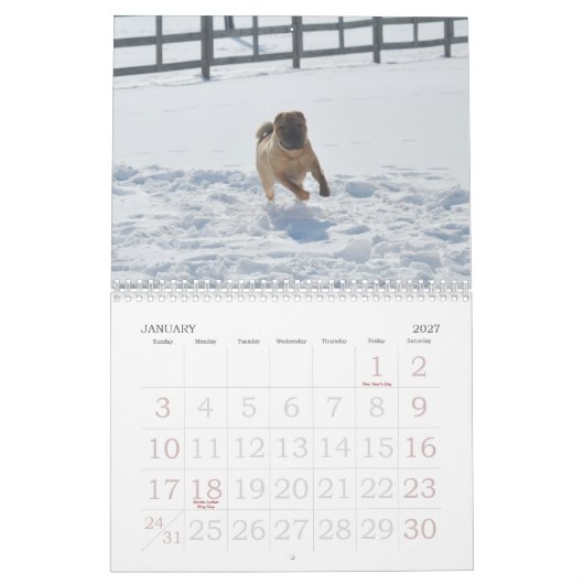 Calendrier de Shar-pei de Chinois (Jan 2027)