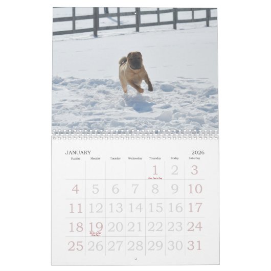 Calendrier de Shar-pei de Chinois (Jan 2026)