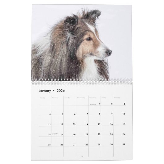 Calendrier de Sheltie (Jan 2026)