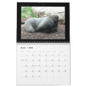 calendrier de singes (Mar 2026)