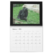 calendrier de singes (Feb 2026)