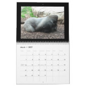 calendrier de singes (Mar 2027)