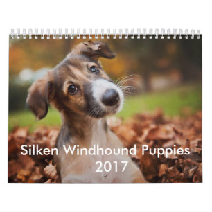 Calendrier de soie 2017 de chiot