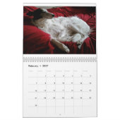 calendrier de soie de 14 2016 Windhounds (Feb 2027)