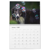calendrier de soie de 14 2016 Windhounds (Jan 2027)