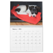 calendrier de soie de 5 2016 chiots de Windhound (Feb 2026)