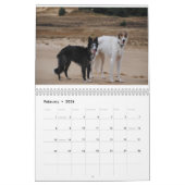 Calendrier de soie de Windhound 2017 (Feb 2026)
