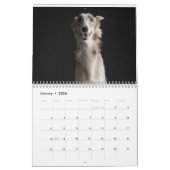 Calendrier de soie de Windhound 2017 (Jan 2026)