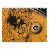 CALENDRIER DE SPIRITUEUX DE CHAMAN (Protection)