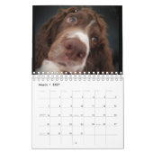 Calendrier de springer spaniel (Mar 2027)