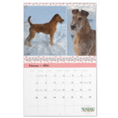 Calendrier de Stirling Irish Terriers 2021 (Feb 2026)