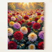 Calendrier de symbolique des chrysanthèmes (Dos)