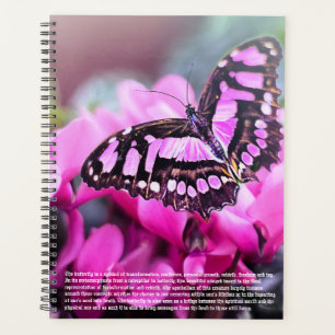 Calendrier de symbolisme papillon