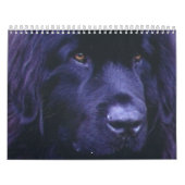 Calendrier de Terre-Neuve (Protection)