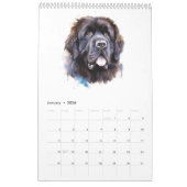 Calendrier de Terre-Neuve 2025 (Jan 2026)