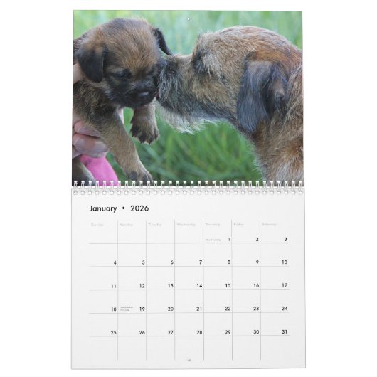 Calendrier de Terrier de frontière 2013 (Jan 2026)